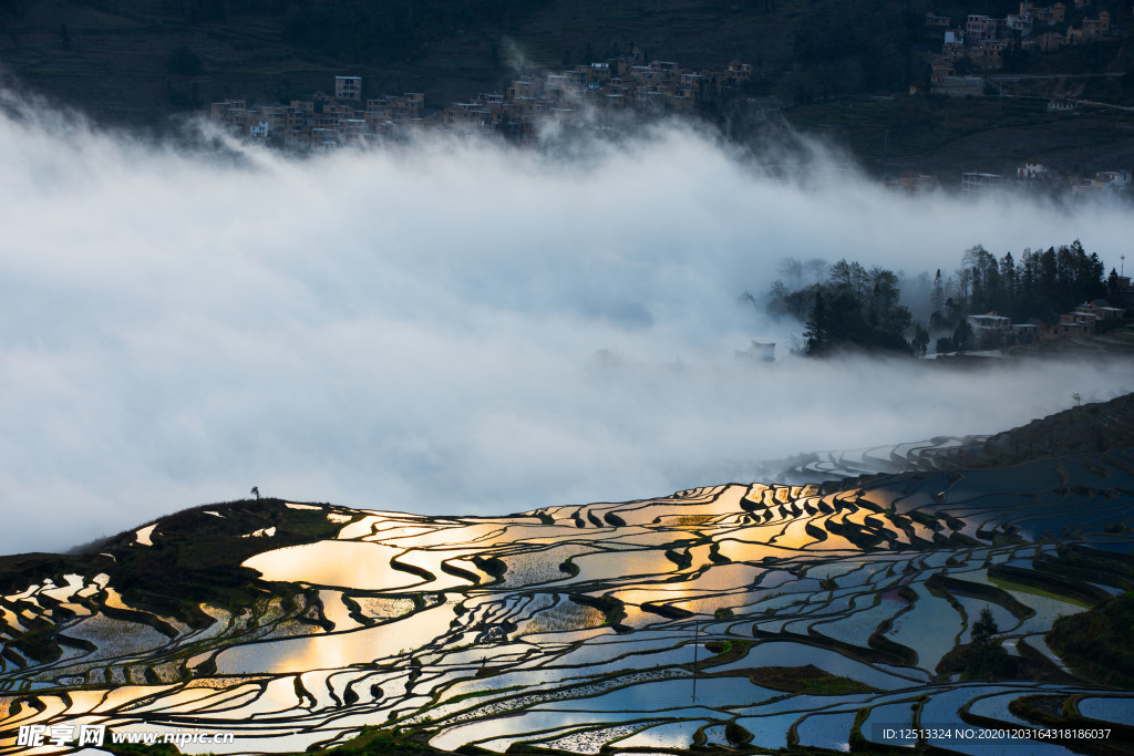 梯田