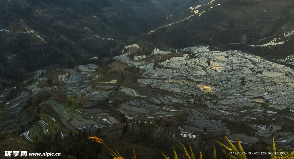 梯田