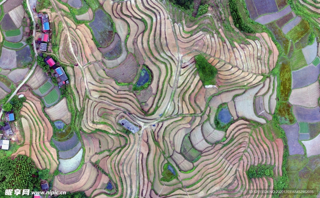 梯田