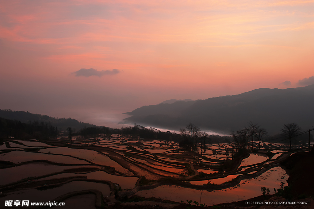 梯田