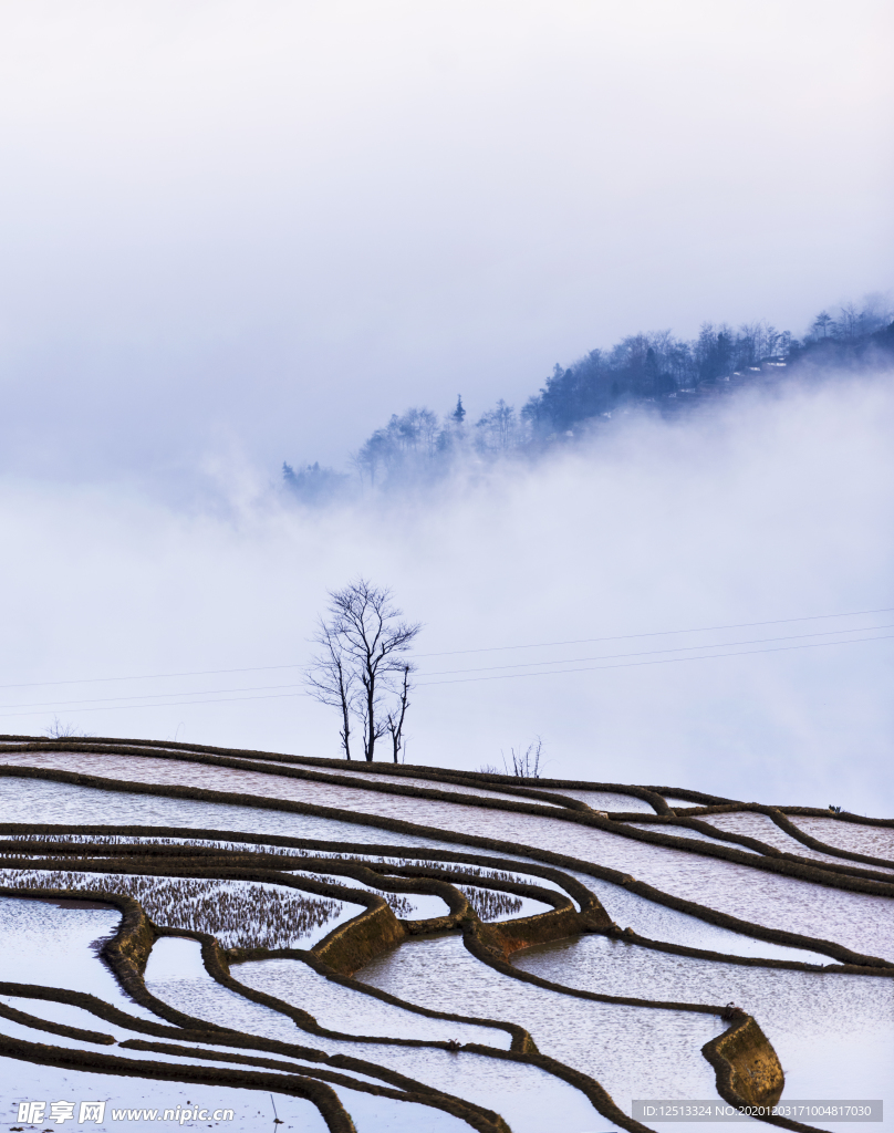 梯田