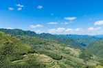 梯田
