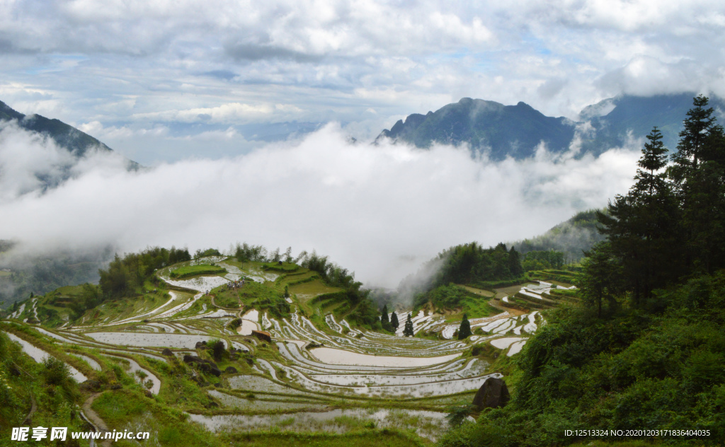 梯田