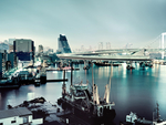 城市风景