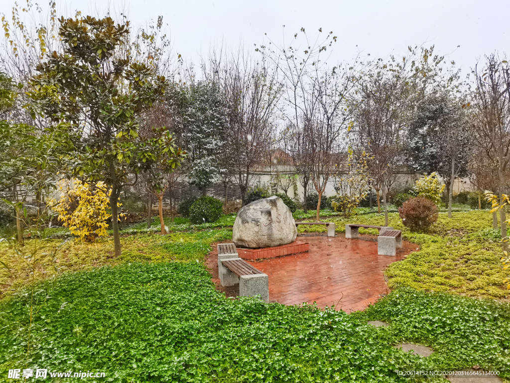 美丽的公园风景