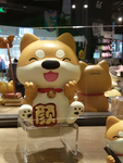 宠物狗