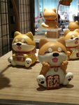 宠物狗