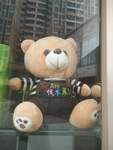 熊
