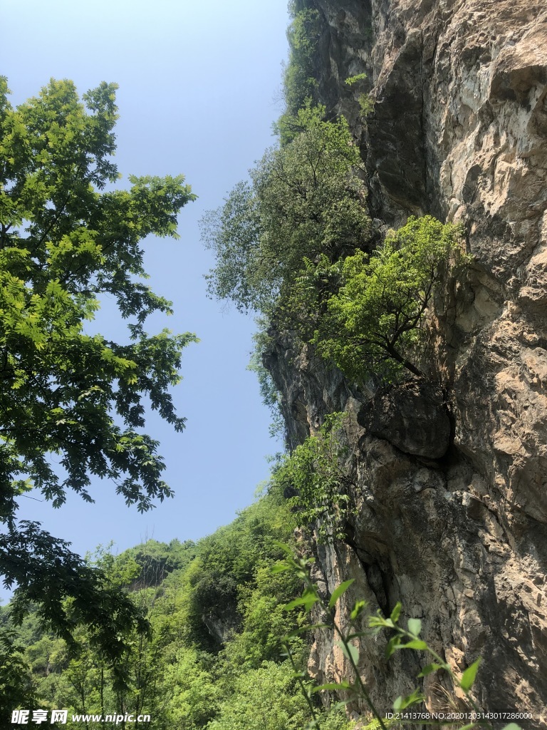 清新自然风景