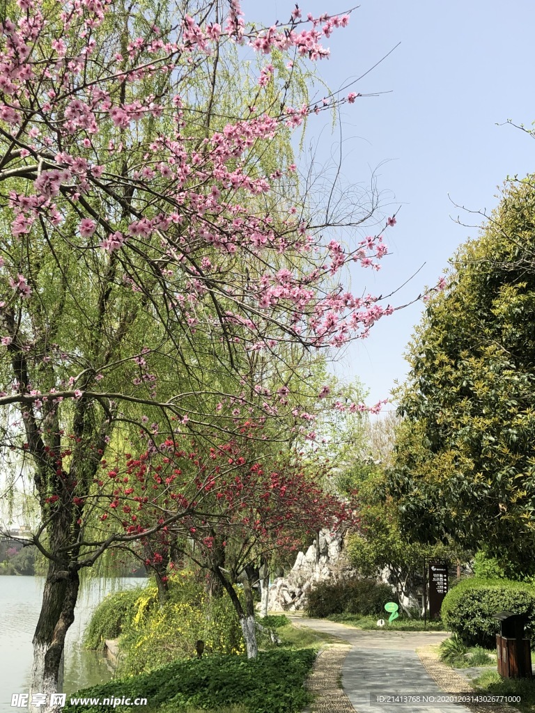 清新自然风景