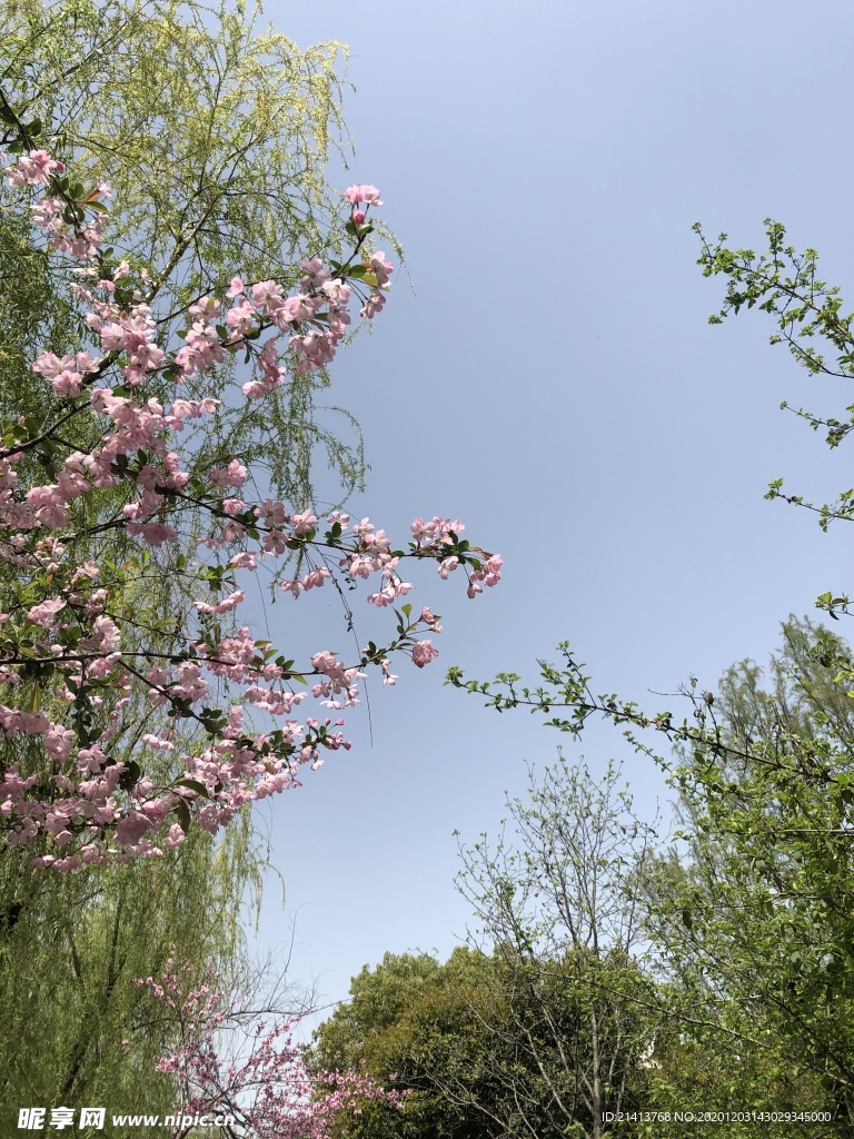 清新自然风景