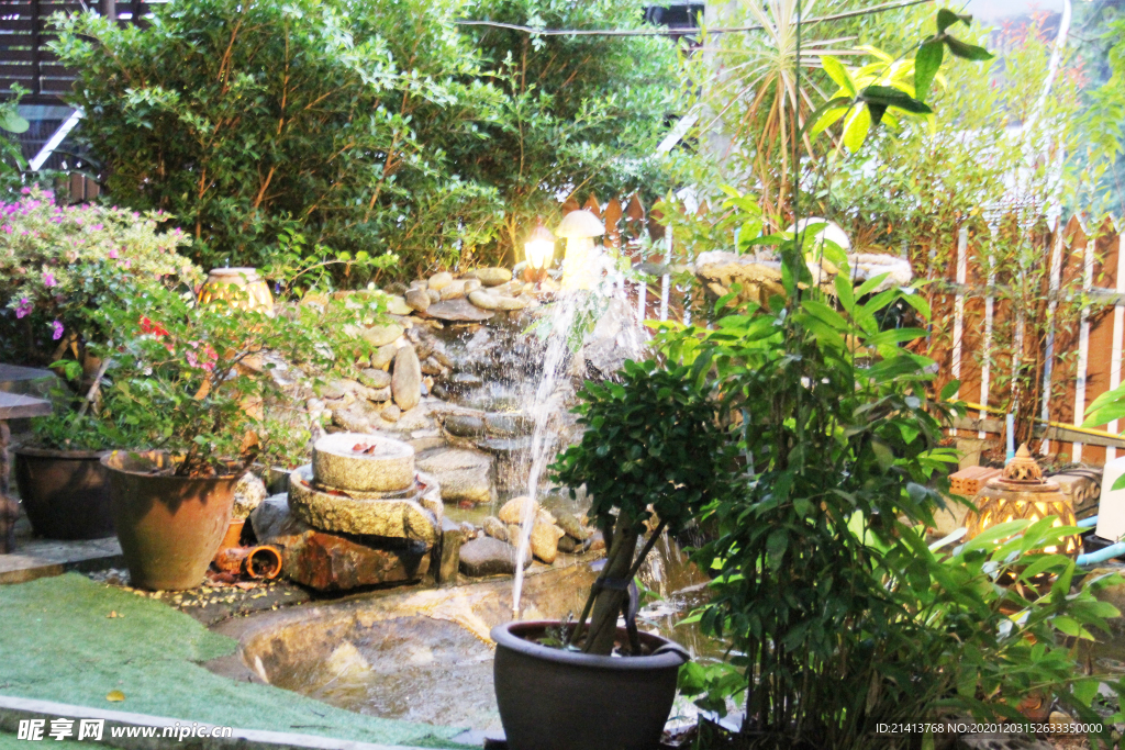 绿植植物盆景