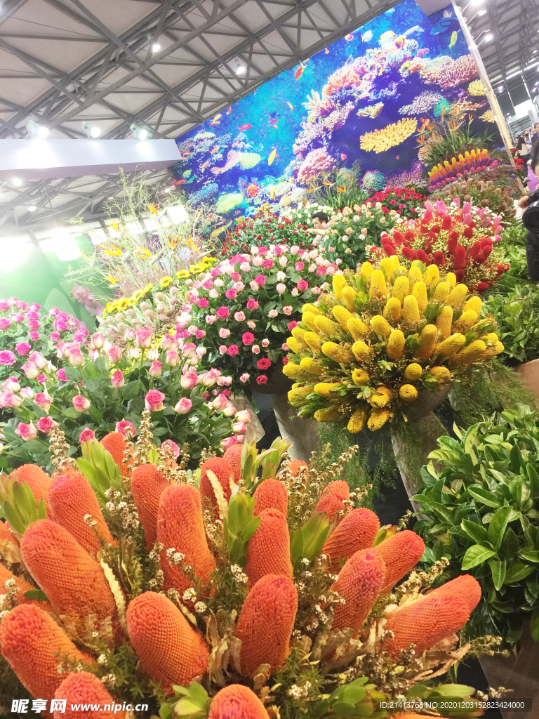 鲜花花朵花卉