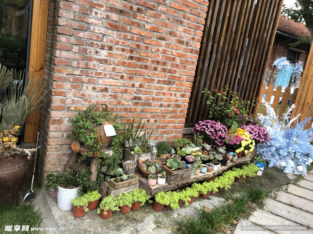 绿植绿叶植物