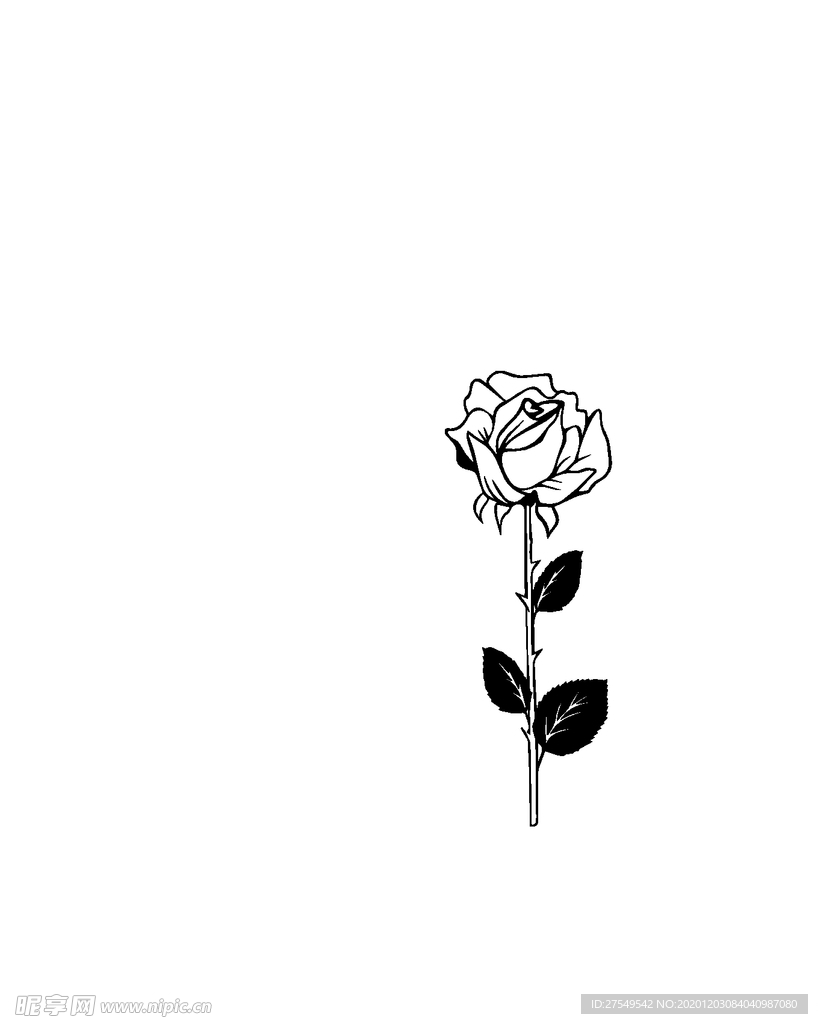 矢量黑色玫瑰花