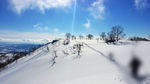 滑雪图片