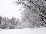 雪景图片