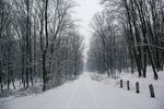 雪景图片