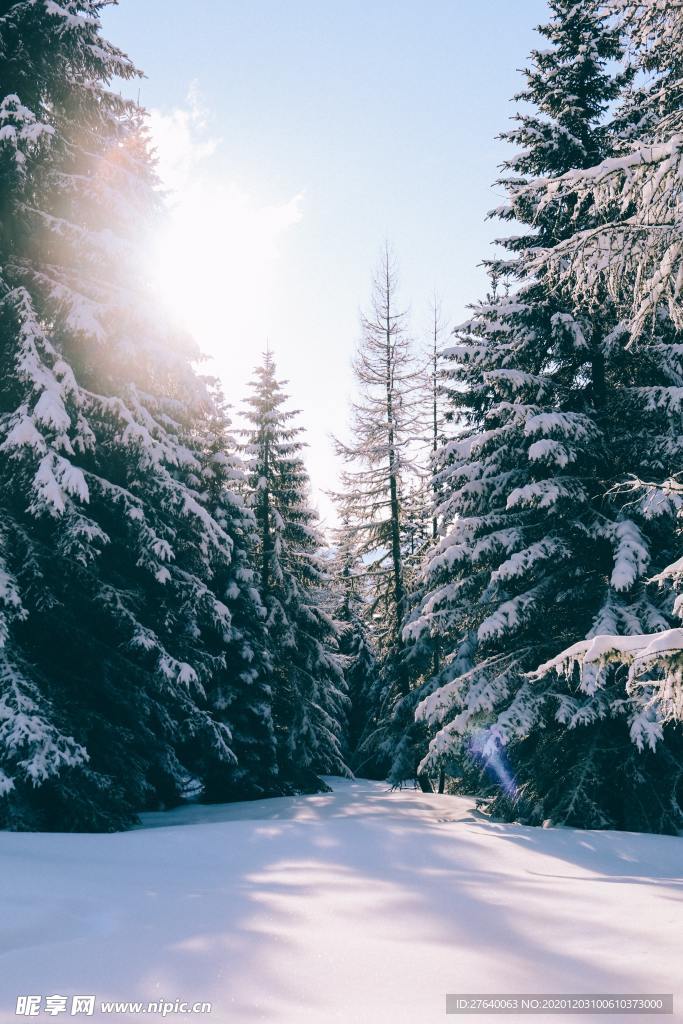 雪景图片