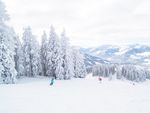雪景图片