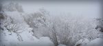 雪景图片