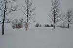 雪景图片
