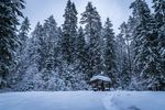 雪景图片