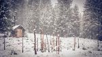 雪景图片