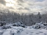 雪景图片