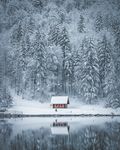 雪景图片
