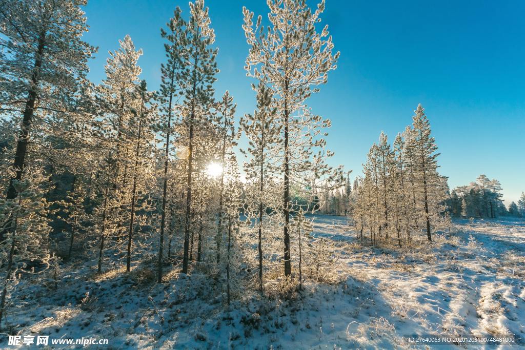 雪景图片