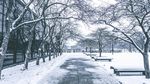 雪景图片