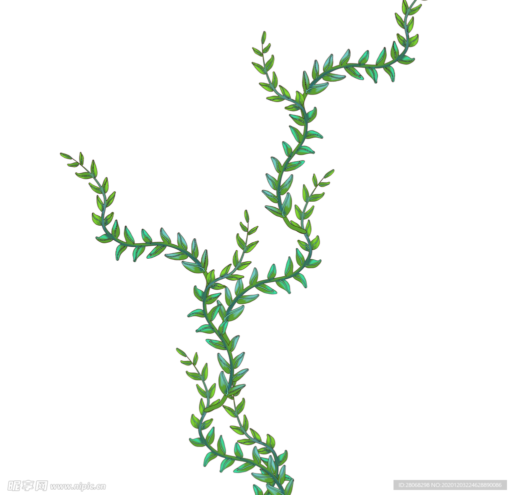 绿色藤蔓植物元素