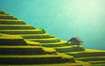 风景