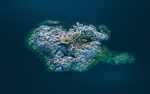 风景