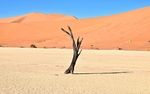 风景