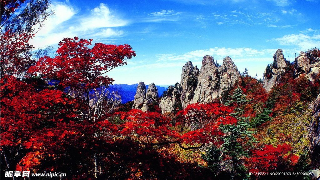 风景