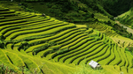 风景