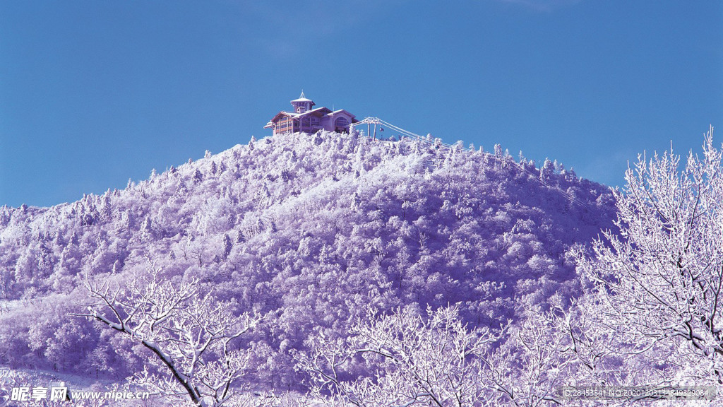 风景