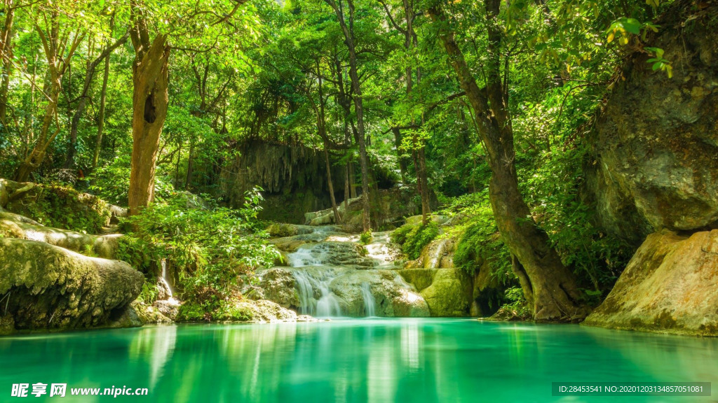 风景