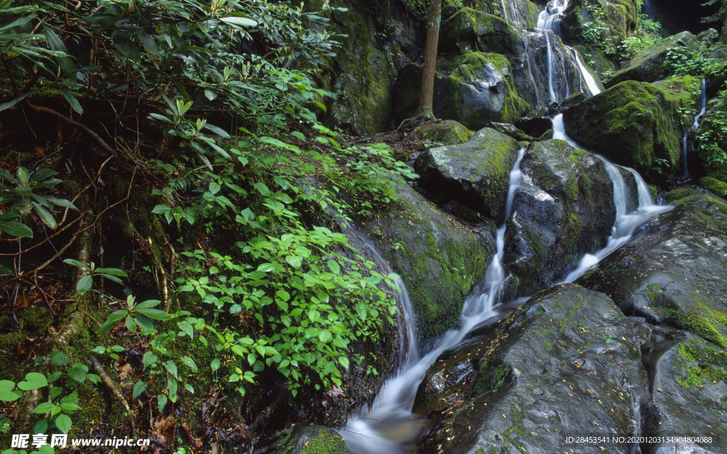 风景