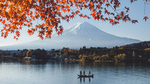 风景
