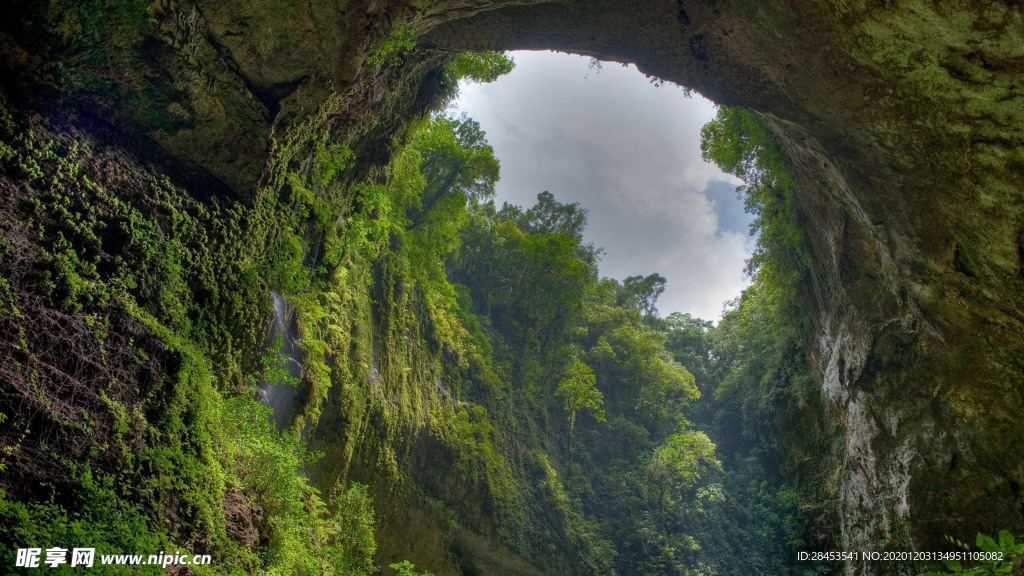 风景