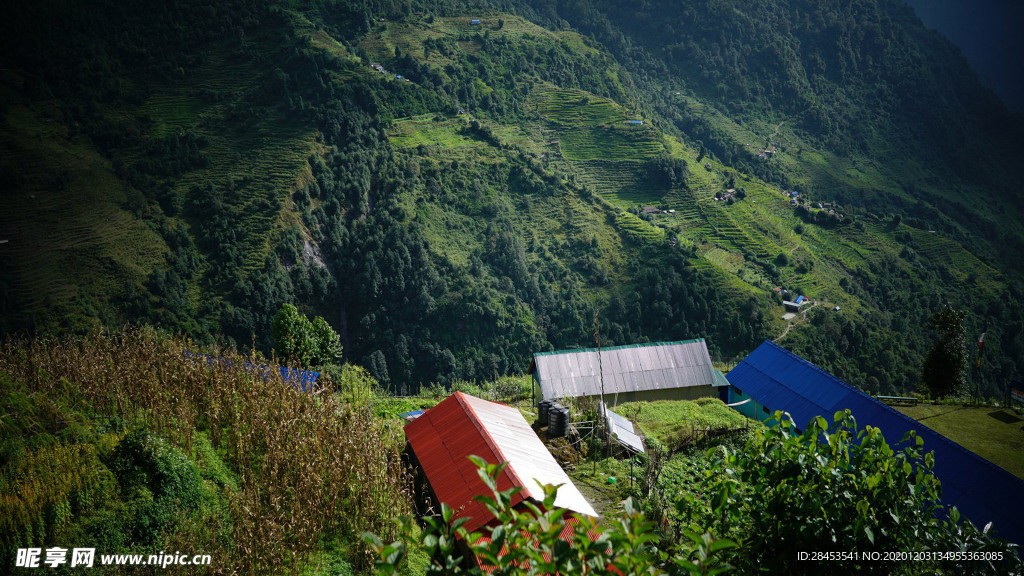 风景