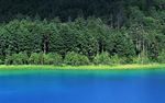 风景