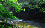 风景
