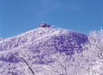 风景