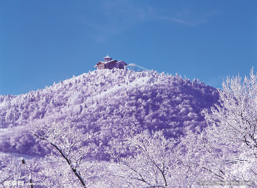 风景