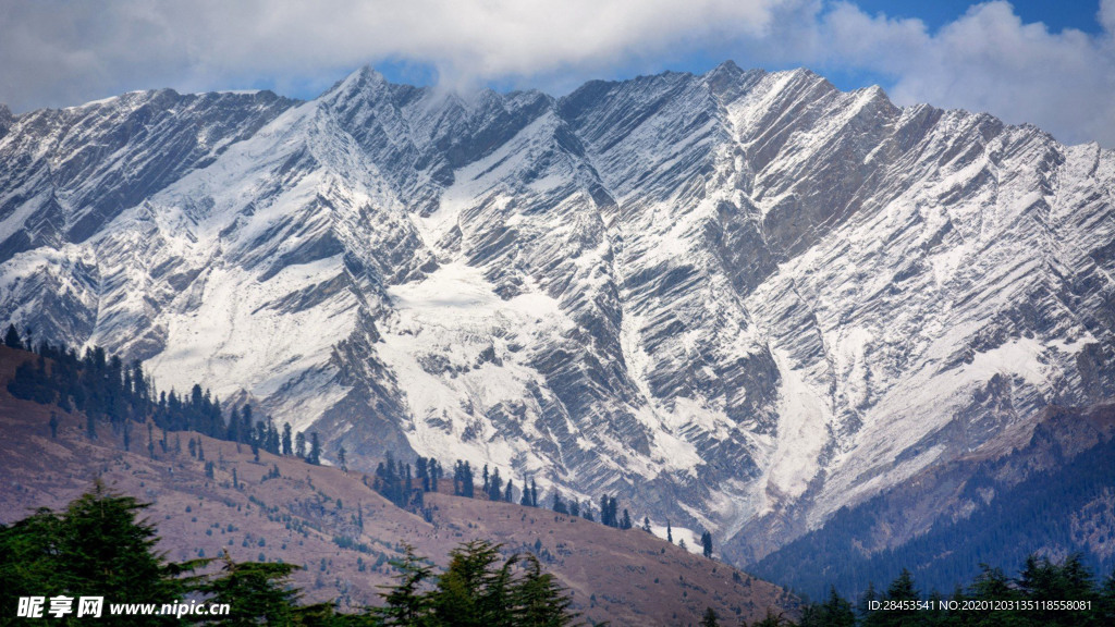 风景