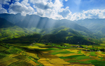 风景